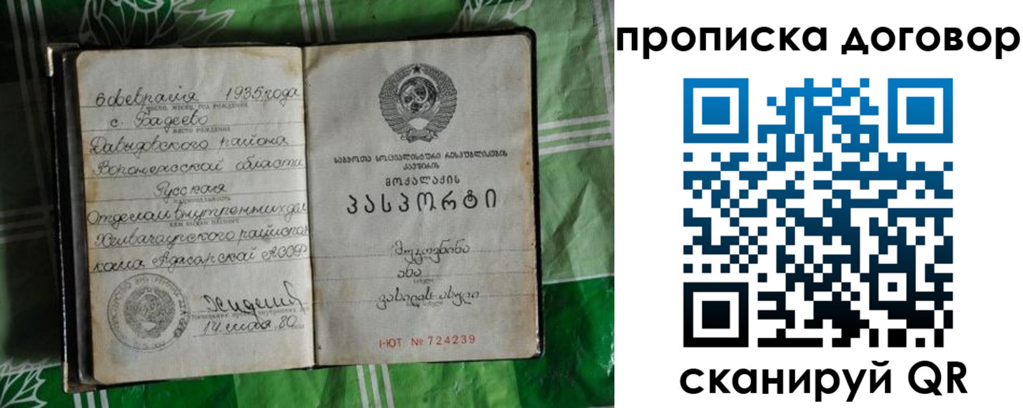 прописка в Оленегорске